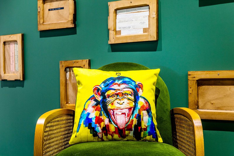 Cushion Funky Monkey af Vincent Richeux