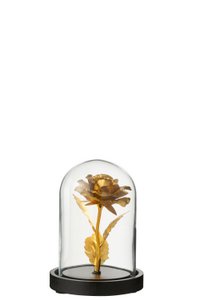 J-Line decoration Bell Jar Rose - glass - gold/black - S