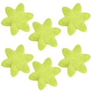 Big Pack Nat-Wax Melts - Lemon Harvest