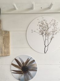 Wall circle dry plants
