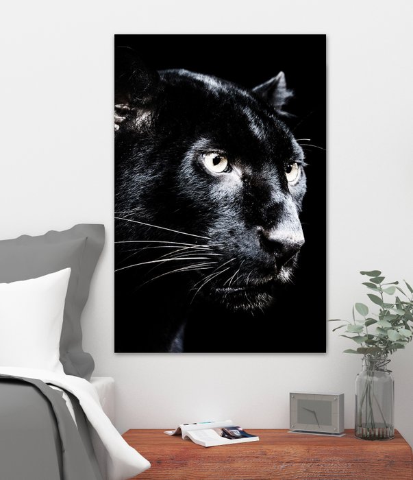 Dark Jaguar