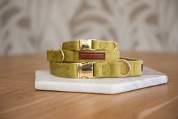 Velvy olivia collar, a stylish pet collar made of high-quality materials in various sizes to fit different pets.