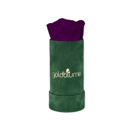 Colección Terciopelo Verde