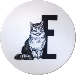 Letterbord E met Kat