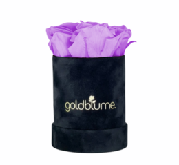 Velvet Black Collection