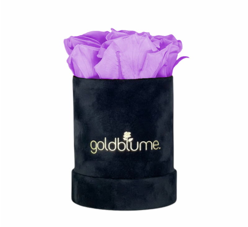 Velvet Black Collection