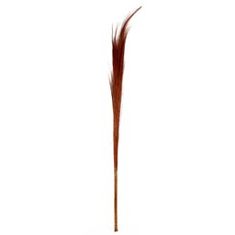 A bundle of 25 small copper-colored hay decorative objects, featuring long, slender stems with reddish-brown feathery accents.