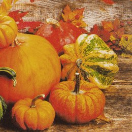 Assorted orange and yellow pumpkins and gourds on a rustic wooden background, surrounded by autumn leaves.