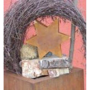Patina Kerstdecoratie ster | invullen |