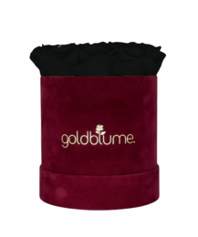 Velvet Bordeaux Collection