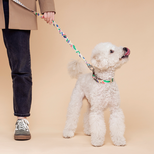 Gaston Leash