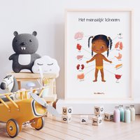 The Human Body - Educational Poster - Baby with Long Hair