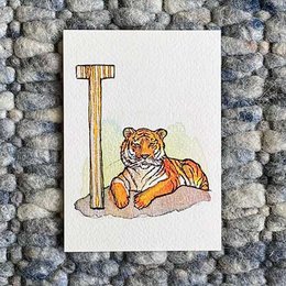 Schede animali ABC (formato A6)