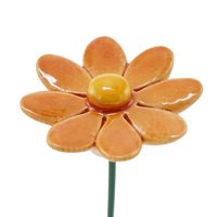 Madeliefje Oranje klein 3,5 cm