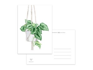 Postcard hanging plant