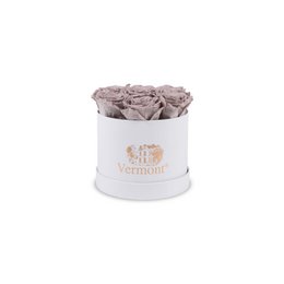 Flores Preservadas Caja Rosa Blanca