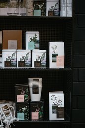 Tea Blend White Night - te i pose