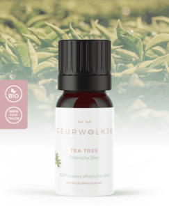 Tea Tree - 100% essential oil - 10 ml - suggested retail price € 8.95