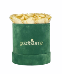 Colección Terciopelo Verde