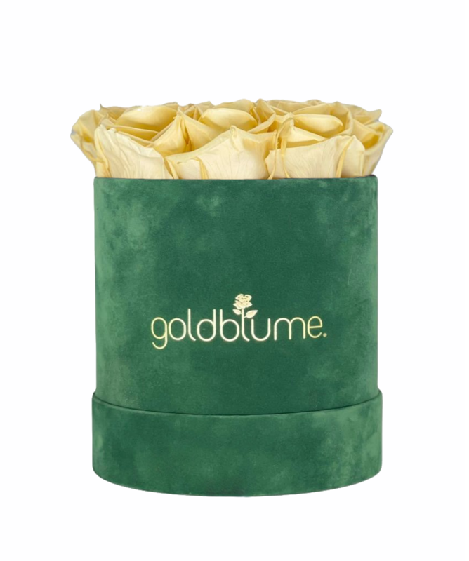 Colección Terciopelo Verde