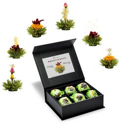 6er Magnetbox ErbloomTee Green Tea "Fruity Flavor" - A set of 6 blooming green tea balls in a magnetic gift box. The tea features a fruity flavor and the blooming flowers create a visually appealing display.