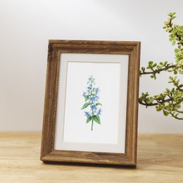Botaniczny Art Print Mix x16 | Vintage ilustracja kwiat | Dekoracje ścienne