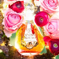 Heartsong Sparkling Chakra Bath & Shower Oil, Rose Ylang Ylang Cinnamon