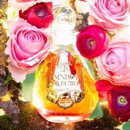 Sparkling chakra bath and shower oil with rose, ylang ylang, and cinnamon scents in a glass bottle surrounded by pink roses and red anemone flowers.