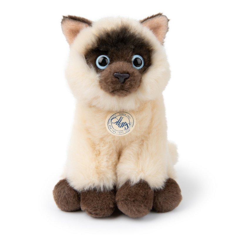 BTC - Eddie the Siamese in gift box - 17 cm -