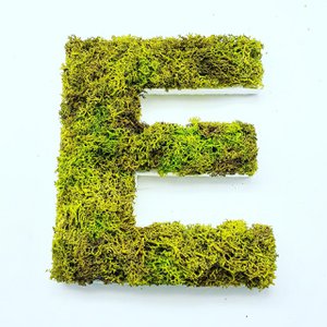 Stabilisierter Gemüsebrief