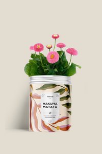 Samenset - HAKUNA MATATA