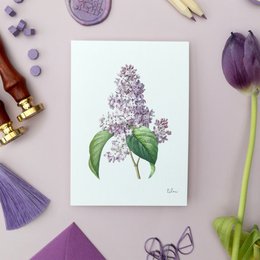 Lilac Pack - Handmade Postcards A6 with Envelope - Botanical Vintage