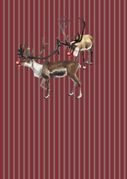 Sæt med 8 julekort inkl. kuvert - Christmas Cracker