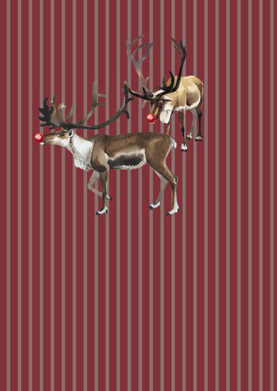 Sæt med 8 julekort inkl. kuvert - Christmas Cracker