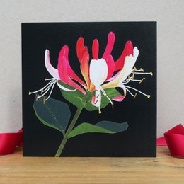 Honeysuckle Card (blomsterkort)