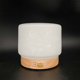 Lisalia Ultrasone Diffusor - Koi Karpers