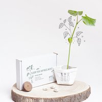 Blühen Sie Ihre Glückswünsche