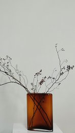moderne design vase, speciel form, rav, BAD30AM