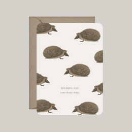  Greeting card with hedgehogs, brown kraft envelope, "sending you some hedge-hugs" text, get well wishes
