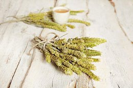 Tè greco di montagna biologico