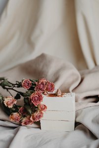 BLOEIEN