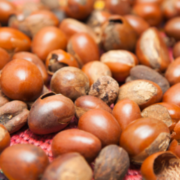 A large container of shea butter, a natural moisturizing ingredient for body care products.