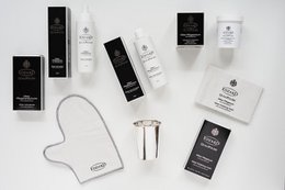 EDZARD QualiPolish® zilververzorgingsspray Zilverspray met aanslagbescherming, inhoud 250 ml