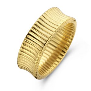 CO88 roestvrijstalen ring ipg