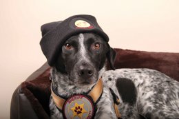 Klistermærker - Patch it! - Sherif, 6 cm