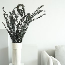 Dried eucalyptus stems in green and red colors, arranged in a vase. The stems have a natural, minimalist appearance and provide a simple, elegant floral accent.