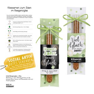 Blumensamen-Reagenzglas Silvester-Neujahr 2-sort., H.21 cm