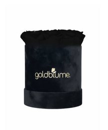 Velvet Black Collection