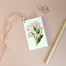  Vintage-style botanical gift tag featuring a pink dendrobium orchid illustration. Soft pastel colors and natural elements create a delicate, feminine aesthetic.