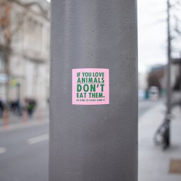Small Vegan Indoor/Outdoor Stickers 'If You Don't Love Animals, Don't Eat Them'